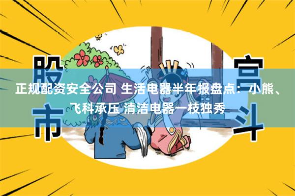 正规配资安全公司 生活电器半年报盘点：小熊、飞科承压 清洁电器一枝独秀