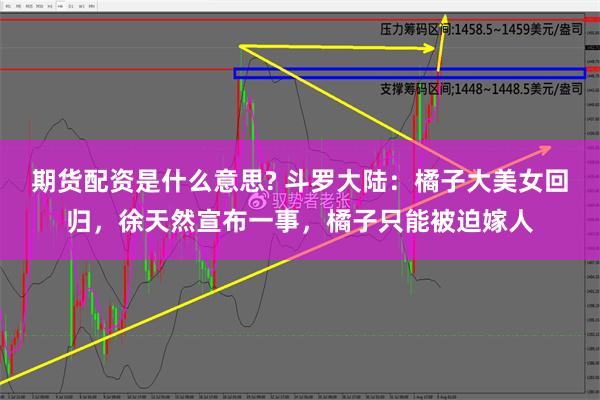 期货配资是什么意思? 斗罗大陆：橘子大美女回归，徐天然宣布一事，橘子只能被迫嫁人