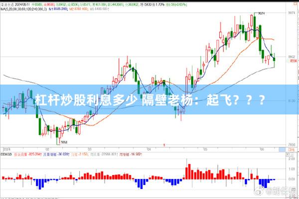 杠杆炒股利息多少 隔壁老杨：起飞？？？