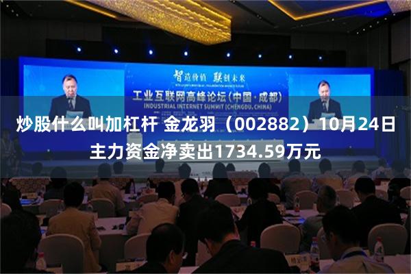 炒股什么叫加杠杆 金龙羽（002882）10月24日主力资金净卖出1734.59万元