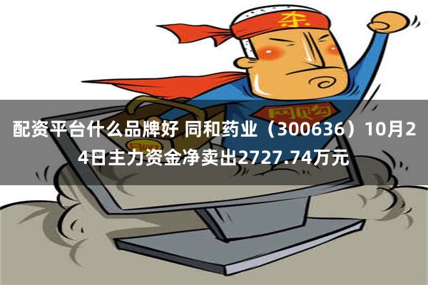 配资平台什么品牌好 同和药业（300636）10月24日主力资金净卖出2727.74万元